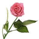 20 Heads Real Touch Latex Rose Artificial Daisy Flowers for Wedding Pink