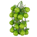 Pack of 5PCS Artificial Fruits Vegetables Strings Farm Kitchen Hanging Decor Photography Studio Background Hanging Ornaments