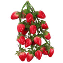 Pack of 5PCS Artificial Fruits Vegetables Strings Farm Kitchen Hanging Decor Photography Studio Background Hanging Ornaments