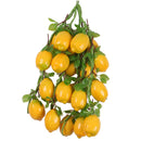 Pack of 5PCS Artificial Fruits Vegetables Strings Farm Kitchen Hanging Decor Photography Studio Background Hanging Ornaments