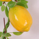 Pack of 5PCS Artificial Fruits Vegetables Strings Farm Kitchen Hanging Decor Photography Studio Background Hanging Ornaments