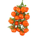 Pack of 5PCS Artificial Fruits Vegetables Strings Farm Kitchen Hanging Decor Photography Studio Background Hanging Ornaments