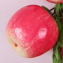 Pack of 5PCS Artificial Fruits Vegetables Strings Farm Kitchen Hanging Decor Photography Studio Background Hanging Ornaments