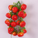 Pack of 5PCS Artificial Fruits Vegetables Strings Farm Kitchen Hanging Decor Photography Studio Background Hanging Ornaments
