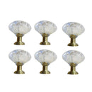 Pack of 6PCS Acrylic Door Pull Knob Drawer Cabinet Cupboard Handle Home Hardware Furniture Decor + Pack of 6 Screws