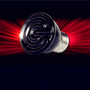 80W CERAMIC HEAT EMITTER BROODER INFRARED LAMP BULB REPTILE PET COOP GROW
