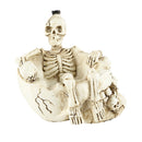 Human Skull Ashtray Ash Holder Container Replica Creative Decor