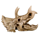 Scale Model Resin Dinosaur Skull Triceratops Head Skeleton DIY Party Craft
