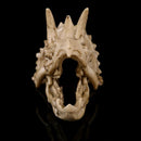 Scale Model Resin Dinosaur Skull Triceratops Head Skeleton DIY Party Craft