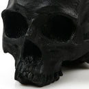 Black Replica Carving Model Skull Crown Human Head Medical Model Pub Decor