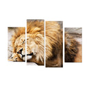 4 Pieces Canvas Decor Wall Art Paintings Lion Print Picture Set 30*60/80cm