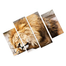 4 Pieces Canvas Decor Wall Art Paintings Lion Print Picture Set 30*60/80cm