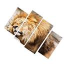 4 Pieces Canvas Decor Wall Art Paintings Lion Print Picture Set 30*60/80cm