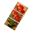 3 Panels Canvas Wall Artwork Paintings Red Tulip Print Picture Set 40*60cm