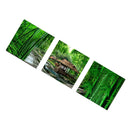 1 Set of 3PCS Canvas Painting for Home Bedroom Cafe Hotel Room Wall Art Wall Decor Paintings Life In Forest Print Charms 40cm