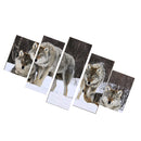 1 Set of 5PCS Canvas Painting for Home Bedroom Cafe Hotel Room Wall Art Wall Decor Paintings Wolves Print Charms 30/40/50cm
