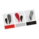 1 Set of 3PCS Canvas Painting for Home Bedroom Cafe Hotel Room Wall Art Wall Decor Paintings Feather Print Charms 30*50cm