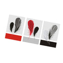 1 Set of 3PCS Canvas Painting for Home Bedroom Cafe Hotel Room Wall Art Wall Decor Paintings Feather Print Charms 40*60cm