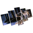 1 Set of 5PCS Canvas Painting for Home Bedroom Cafe Hotel Room Wall Art Wall Decor Paintings Animal Print Charms 20*30/40/50cm