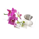 1 Set of 5PCS Canvas Painting for Home Bedroom Cafe Hotel Room Wall Art Wall Decor Paintings Orchid and Rock Print Charms 40/60/80cm