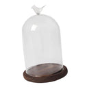 Clear Glass Plant Dry Flower Microlandscape Vase Cover Terrarium Dome with Tray DIY Gift Home Cafe Wedding Decoration