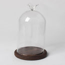 Clear Glass Plant Dry Flower Microlandscape Vase Cover Terrarium Dome with Tray DIY Gift Home Cafe Wedding Decoration
