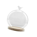 Transparent Glass Cover Dry Flower Display Vase Terrarium Bottle Desktop Microlandscape Decor