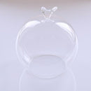 Transparent Glass Cover Dry Flower Display Vase Terrarium Bottle Desktop Microlandscape Decor