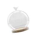 Transparent Glass Cover Dry Flower Display Vase Terrarium Bottle Desktop Microlandscape Decor