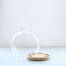 Transparent Glass Cover Dry Flower Display Vase Terrarium Bottle Desktop Microlandscape Decor