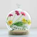Transparent Glass Cover Dry Flower Display Vase Terrarium Bottle Desktop Microlandscape Decor