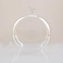 Transparent Glass Cover Dry Flower Display Vase Terrarium Bottle Desktop Microlandscape Decor