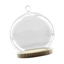 Ball Shaped Glass Cover DIY Plant Dry Flower Display Terrarium Microschaft Fairy Garden Container with Wooden Tray