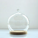 Ball Shaped Glass Cover DIY Plant Dry Flower Display Terrarium Microschaft Fairy Garden Container with Wooden Tray