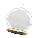 Ball Shaped Glass Cover DIY Plant Dry Flower Display Terrarium Microschaft Fairy Garden Container with Wooden Tray