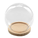 Ball Shaped Glass Cover DIY Plant Dry Flower Display Terrarium Microschaft Fairy Garden Container Decor