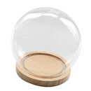 Ball Shaped Glass Cover DIY Plant Dry Flower Display Terrarium Microschaft Fairy Garden Container Decor