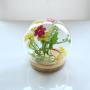 Ball Shaped Glass Cover DIY Plant Dry Flower Display Terrarium Microschaft Fairy Garden Container Decor