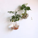 Egg Shaped Glass Hanging Vase Bottle Flower DIY Terrarium Container Decor