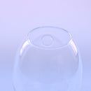Egg Shaped Glass Hanging Vase Bottle Flower DIY Terrarium Container Decor
