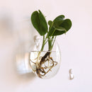 Egg Shaped Glass Hanging Vase Bottle Flower DIY Terrarium Container Decor