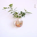 Egg Shaped Glass Hanging Vase Bottle Flower DIY Terrarium Container Decor