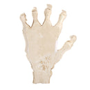 3D Skeleton Palm Skull Model Head Bone Ornament Night Party Pub Bar Decorative Figurine Craft