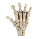 3D Skeleton Palm Skull Model Head Bone Ornament Night Party Pub Bar Decorative Figurine Craft