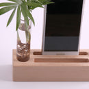 Clear Glass Tube Flower Vase Wooden Base Cellphone Table Stand Pencil Holder Rack
