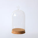 7'' Decorative Clear Glass Apothecary Cloche Bell Jar / Plant Terrarium / Desktop Centerpiece Dome Display Mum Day Favor
