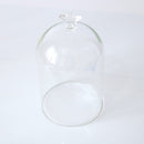 7'' Decorative Clear Glass Apothecary Cloche Bell Jar / Plant Terrarium / Desktop Centerpiece Dome Display Mum Day Favor