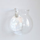 Glass Hanging Vase Bottle Flower DIY Terrarium Container with No Trace Nail