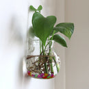 Glass Hanging Vase Bottle Flower DIY Terrarium Container with No Trace Nail