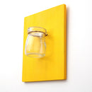 5Pieces Wall Hanging Colorful Wooden Board Glass Pudding Flower Vase Terrarium Container